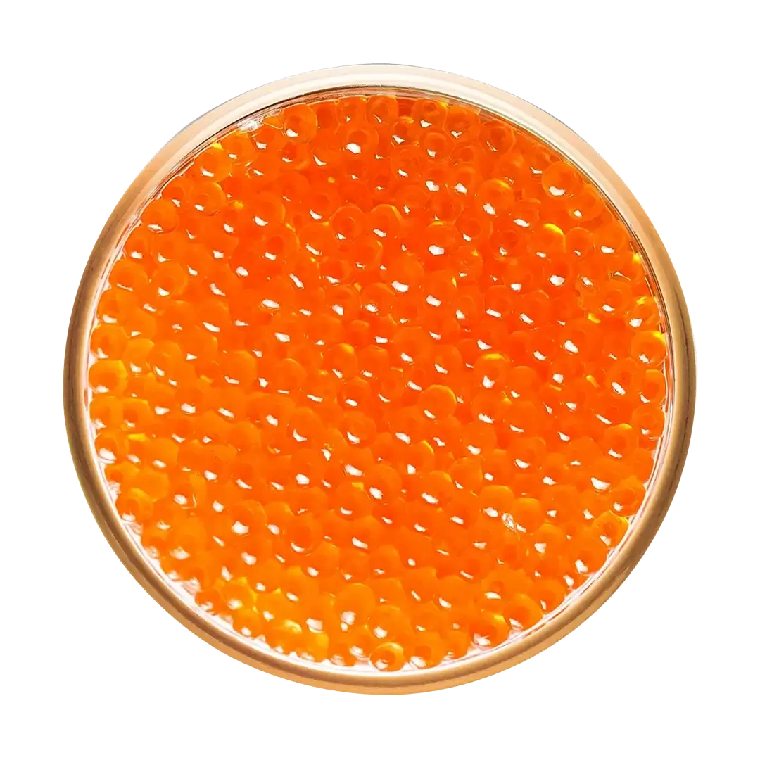 Saumon Roe (Ikura)