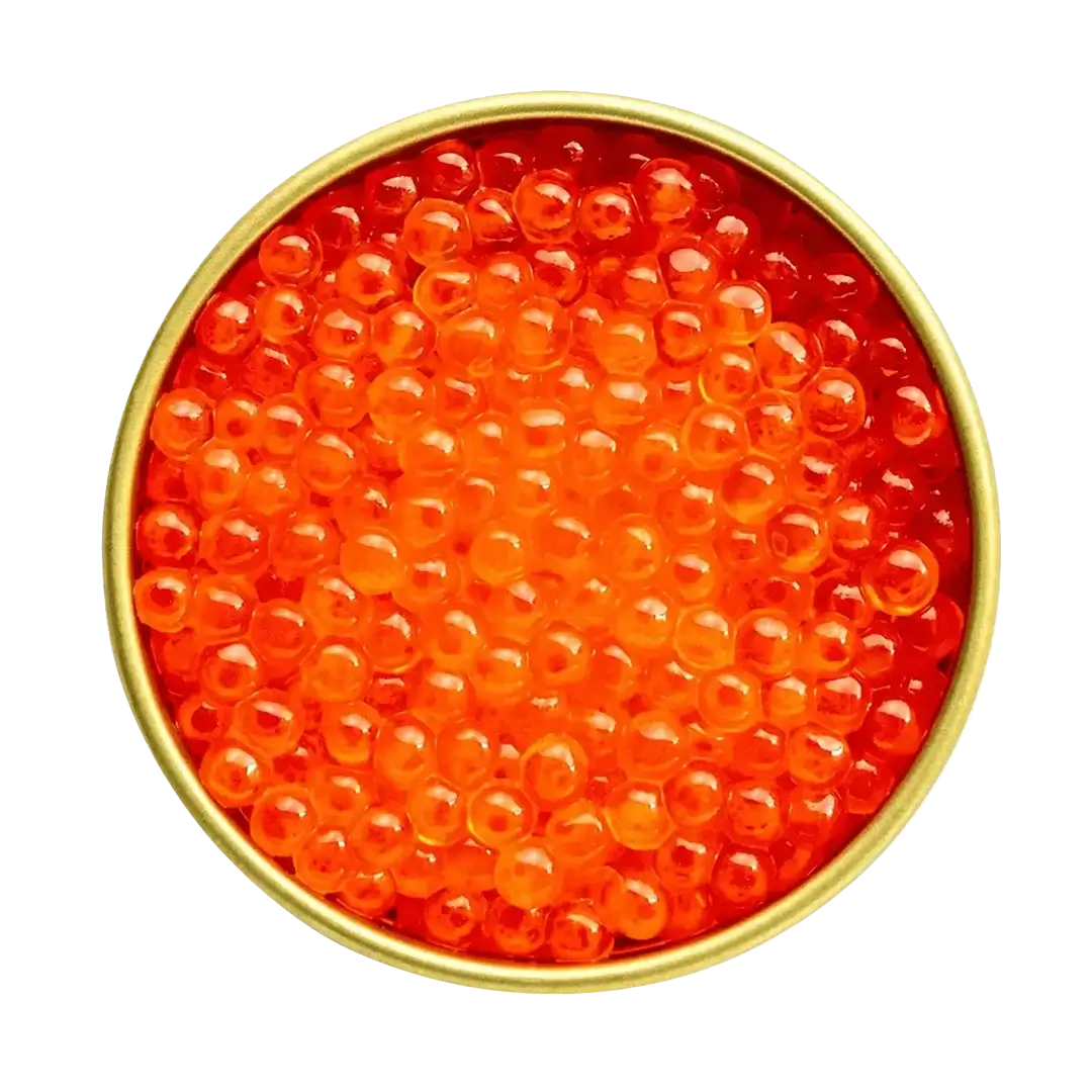 Trout Roe
